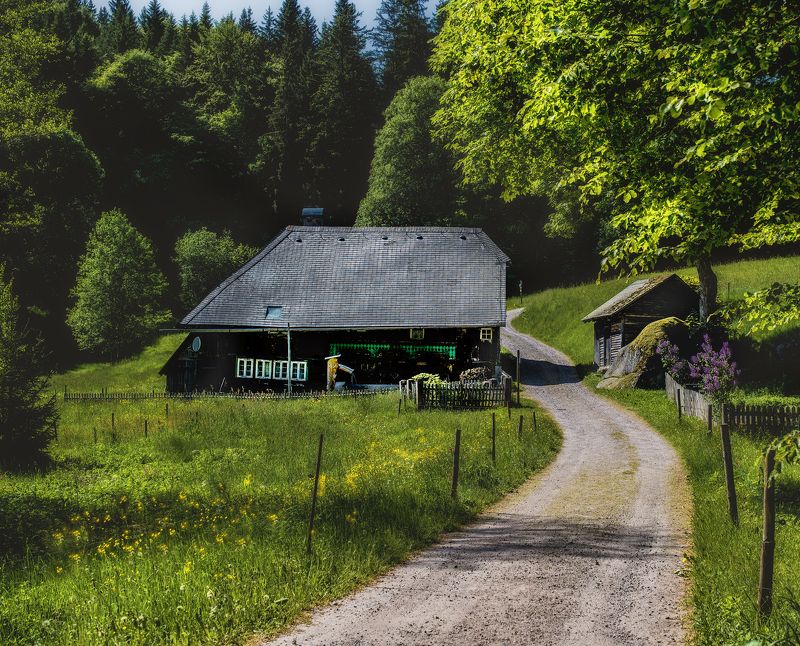 Где то в Черном лесу(Schwarzwald)photo preview