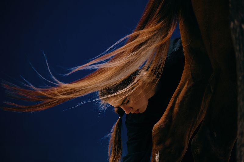 showjumping, конкур, верховая езда, лошадь, horse photo preview