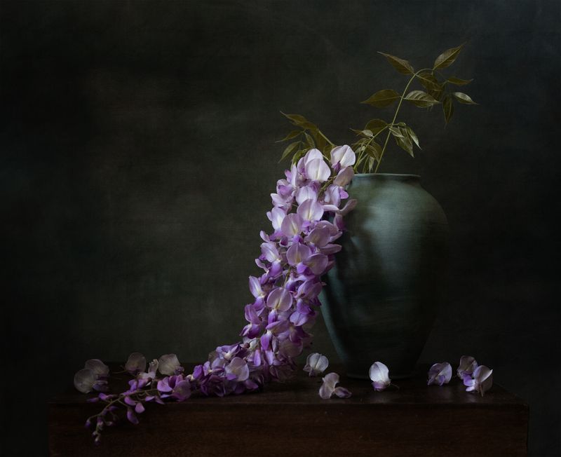 натюрморт, цветы, глициния Ветка глицинииphoto preview