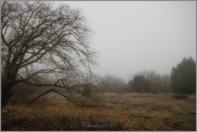 крым, туман, Январскоеphoto preview