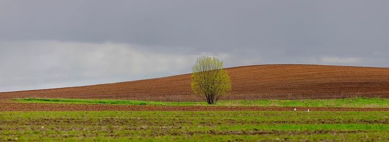 Веснаphoto preview