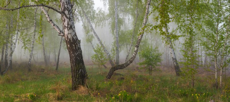 Танец весныphoto preview