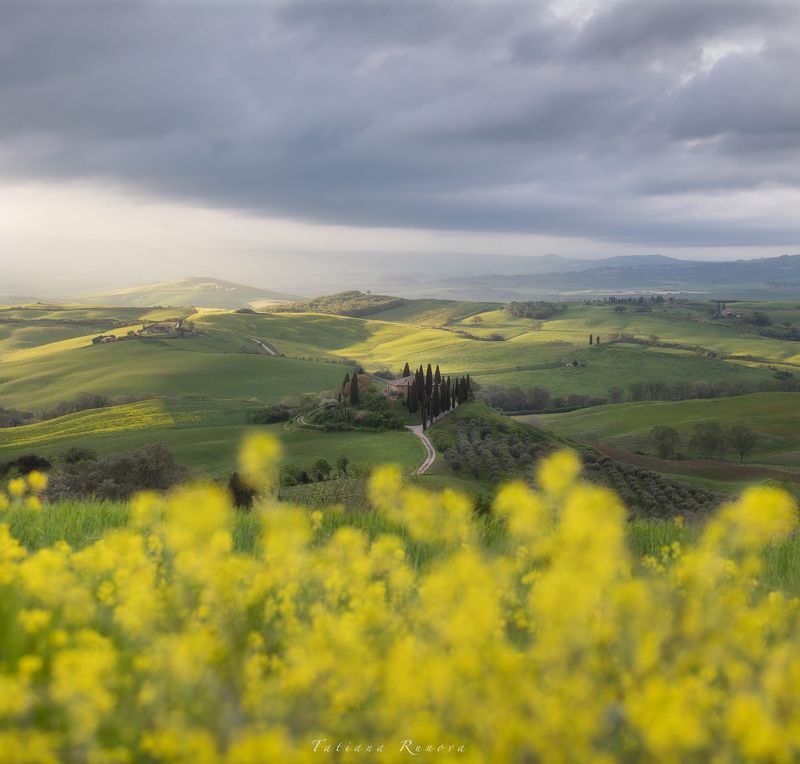 Утренний свет на полях Тосканыphoto preview
