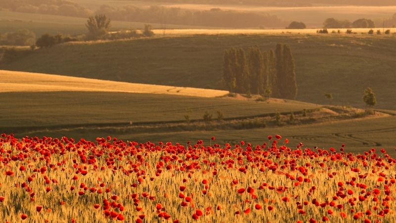 A magical morning todayphoto preview