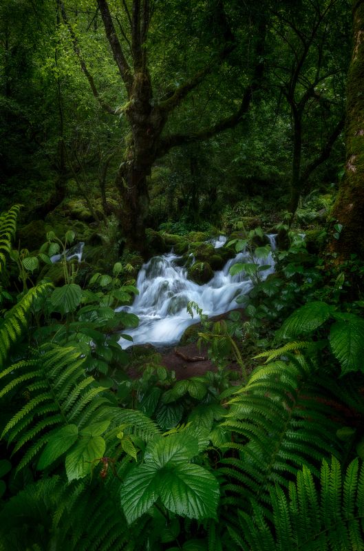 #Georgia #nature #outdoorphotography #water #river #spring #longexposure #rainy Shurubumu, Georgia.photo preview