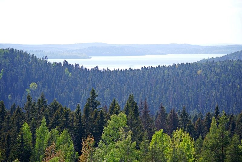 Карелия: гора Хийденвуори. Вид на Валаам.photo preview