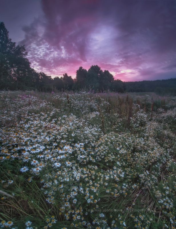пейзаж, ленобласть, карельский, ленинградская область Не разгорелсяphoto preview