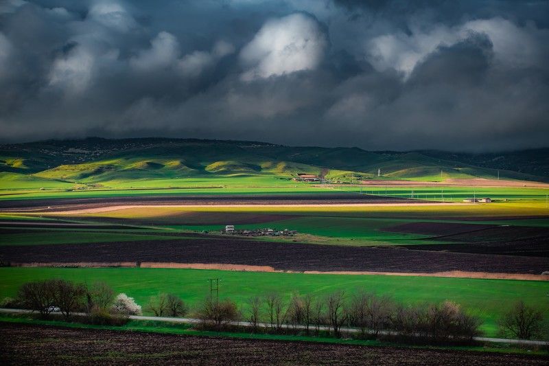 Весенние поля в окрестностях города Карабулак, Ингушетияphoto preview
