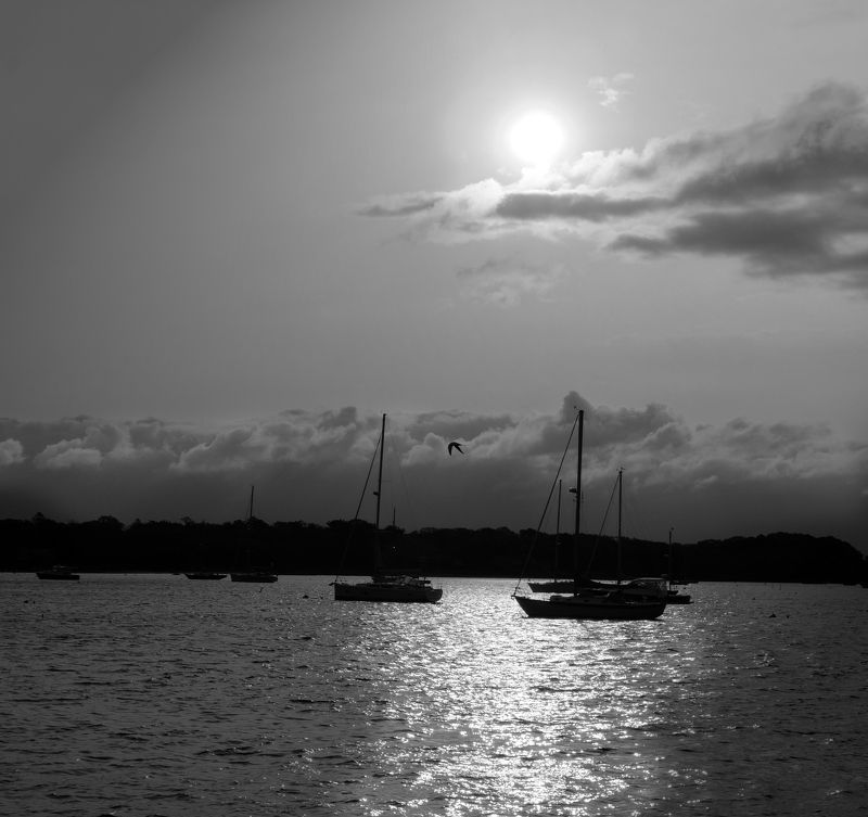 перспектива у воды Перед гонкойphoto preview