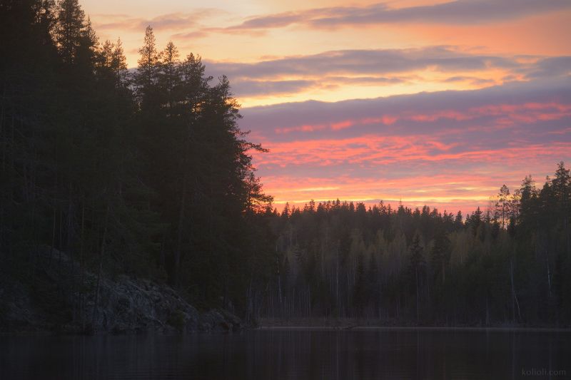 карельский перешеек, в лесах под выборгом, каменногорск, мистика, дремучий лес Вечерний лесphoto preview