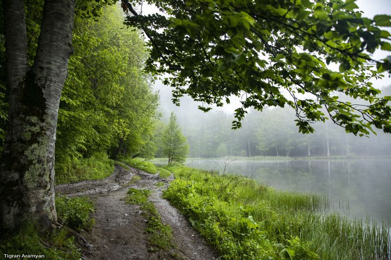 Armeniaphoto preview