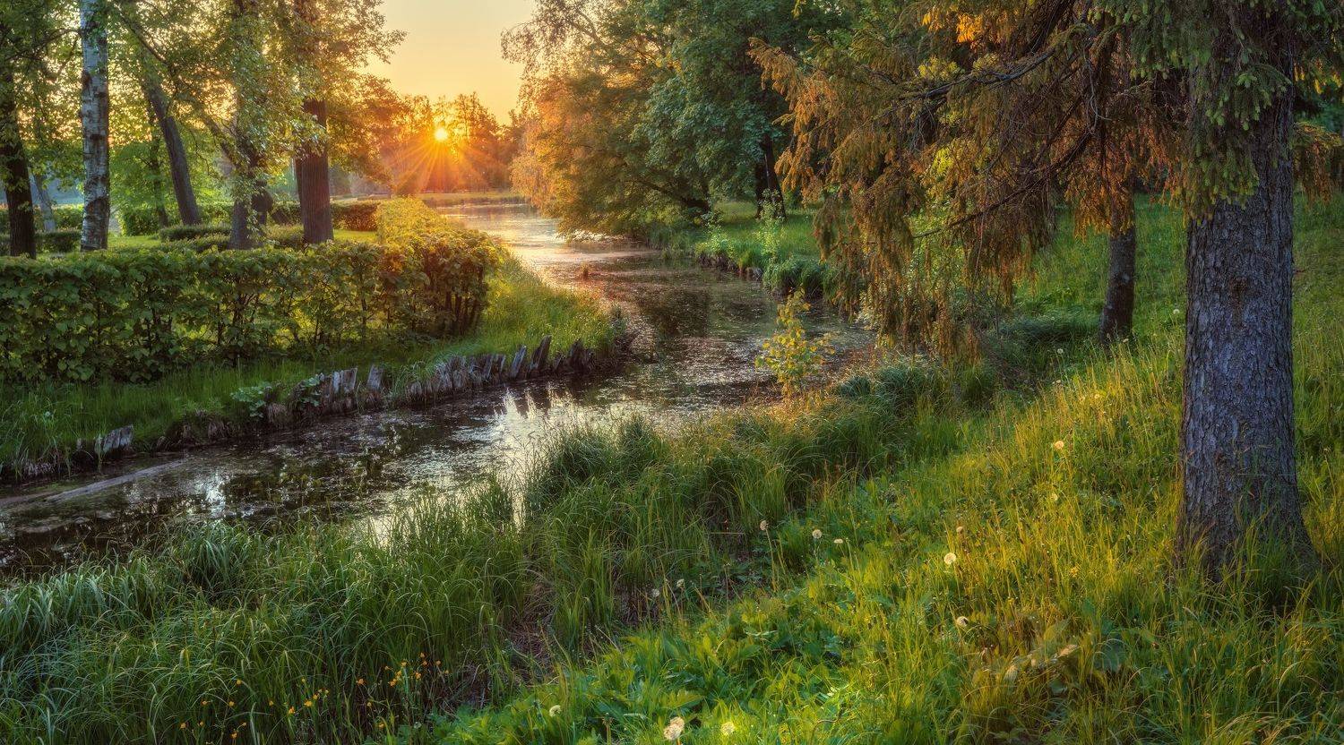 пруд солнце закат вечер вода парк, Константин Скороходов