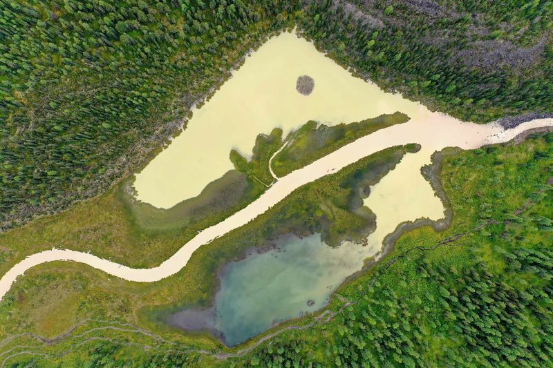 Лёгкиеphoto preview