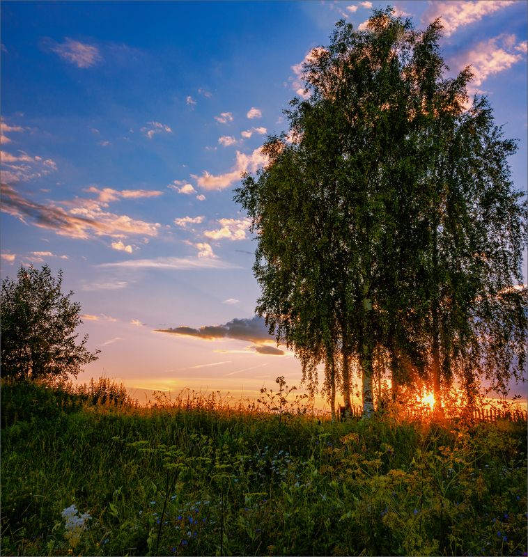 пейзаж, лето, вечер, деревня, свет, цвет, александр никитинский Вечерний свет...photo preview