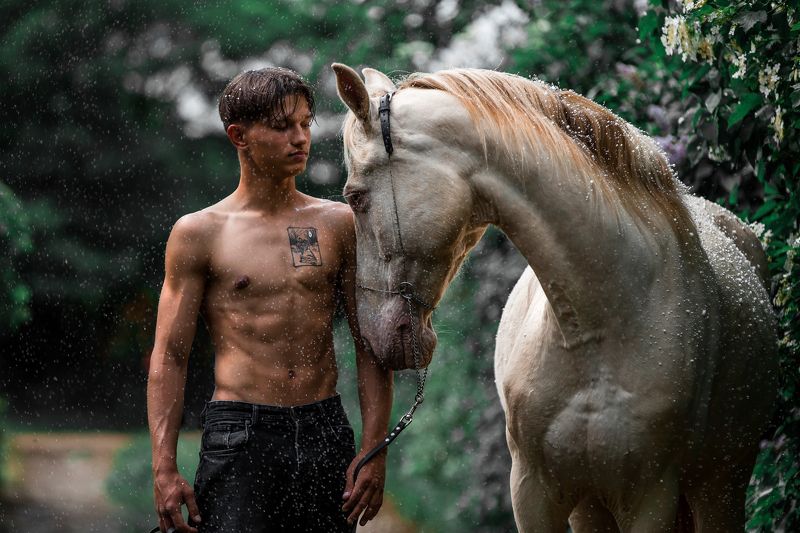 лошадь horse boy photo preview