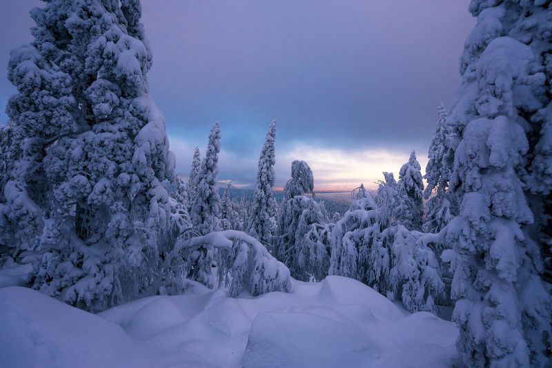 *******photo preview