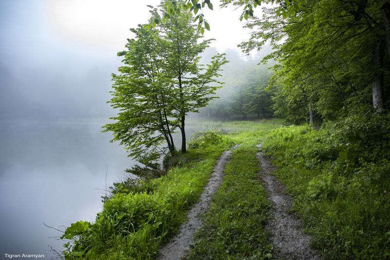 Armeniaphoto preview