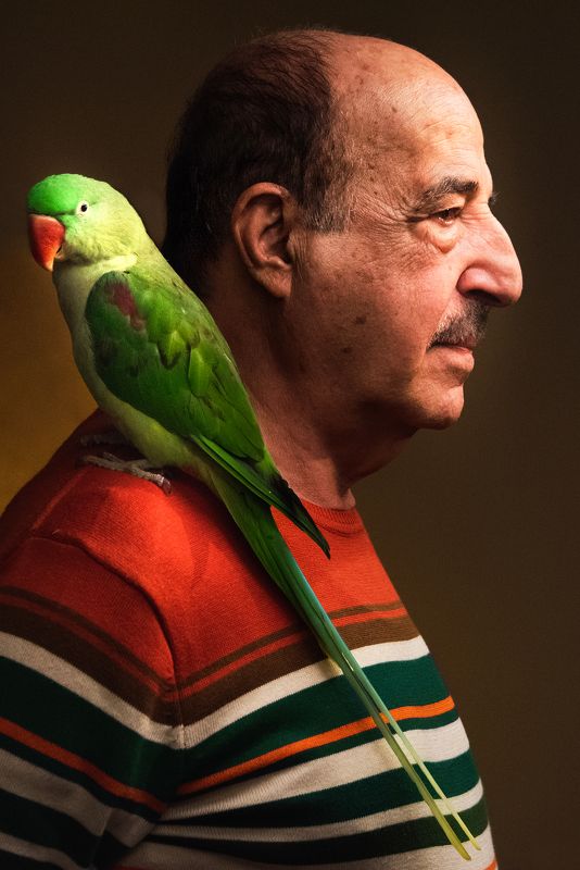 poorya rafiezade پوریا رفیعی زاده man portrait bird green two tone Manoochehr Azariphoto preview