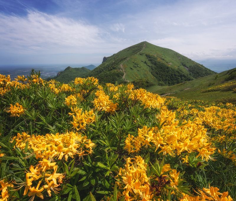 Золотое Бештауphoto preview