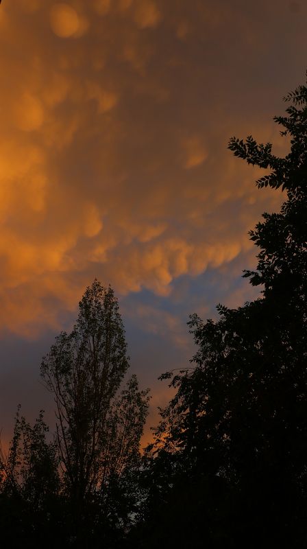 асперитас, небо, шаварёв, Асперитасphoto preview