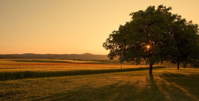 And the mornings are quiet todayphoto preview