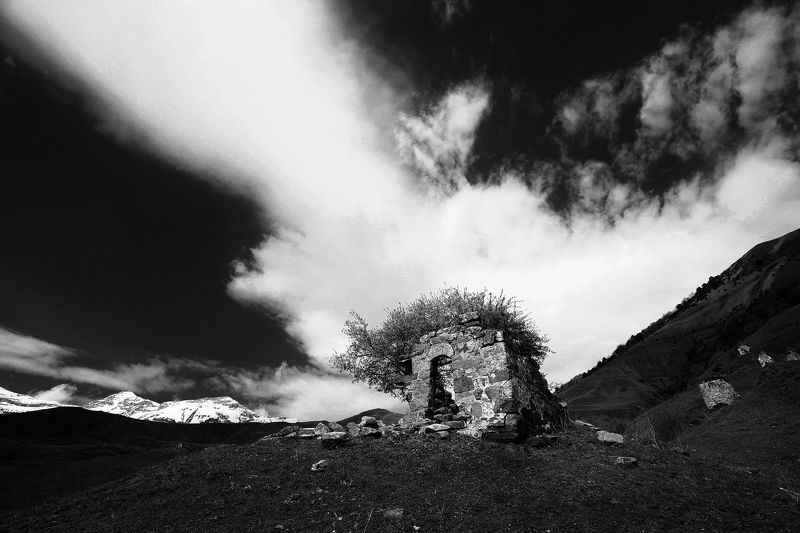 Время вспомнитьphoto preview