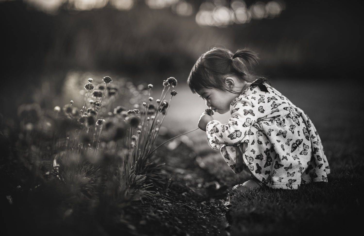 Автор: Derek Zhang , Derek Zhang