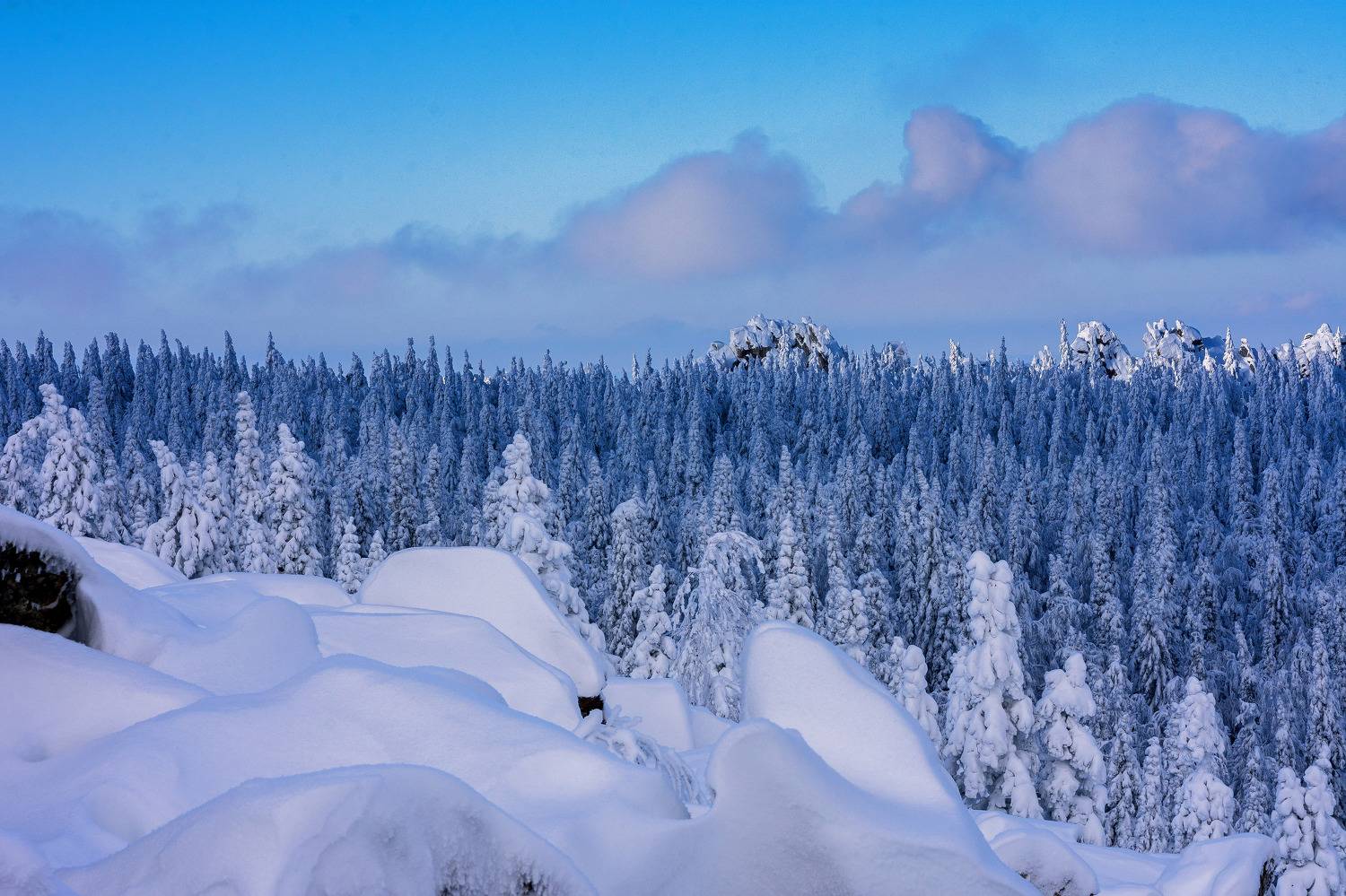 , Андрей Шарапов