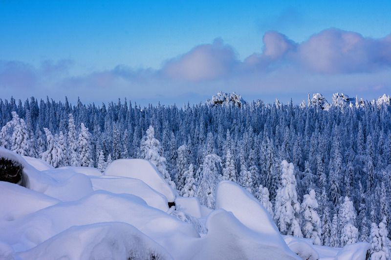 *******photo preview