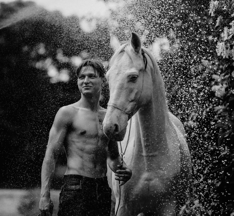 лошадь horse boy photo preview