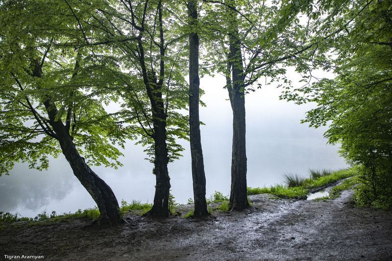 Armeniaphoto preview