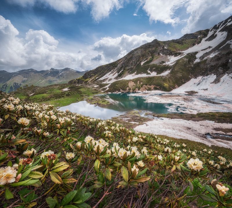 Весна в горахphoto preview