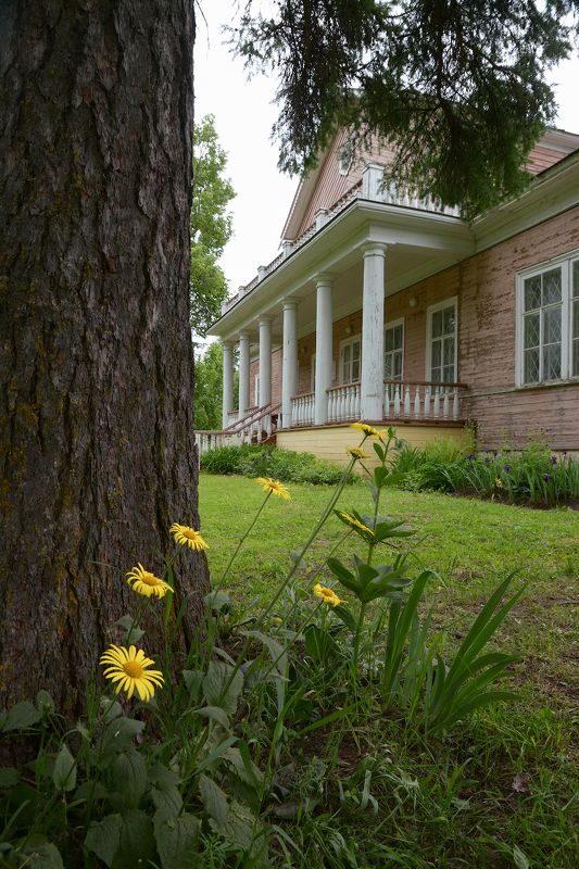 В парке усадьбы Батюшковыхphoto preview