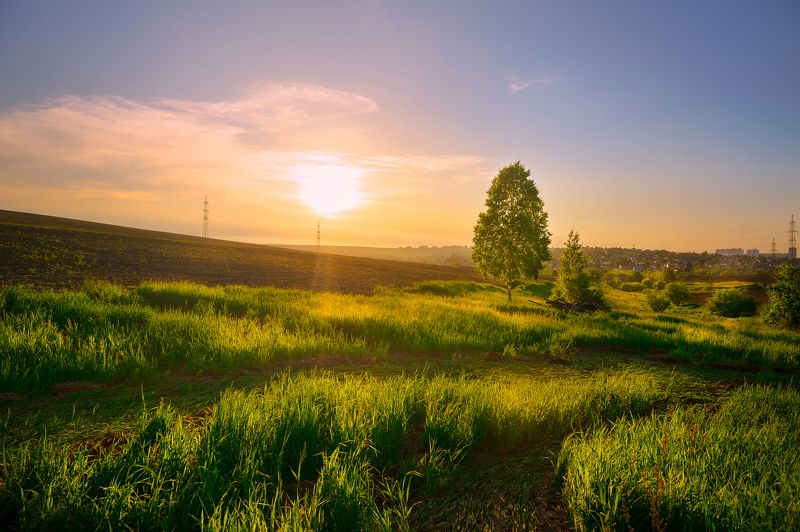 Летним вечеромphoto preview
