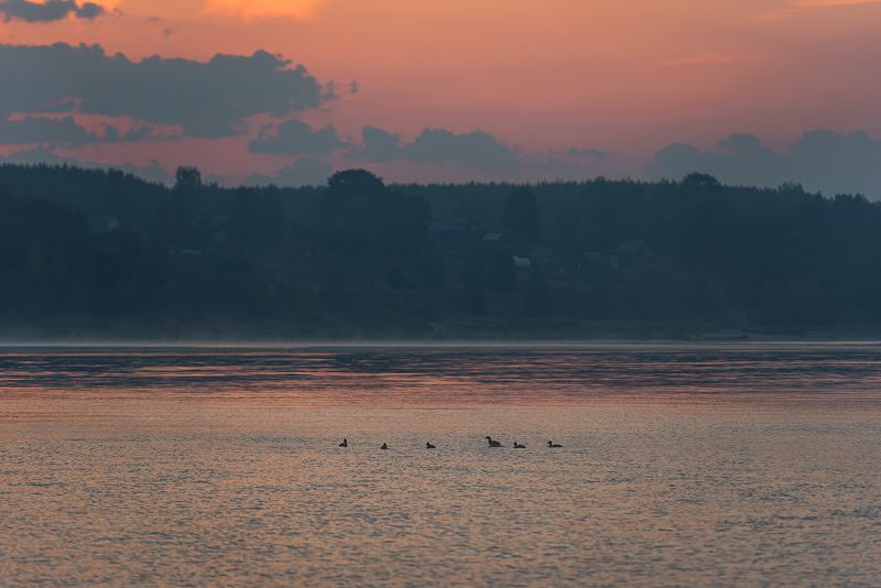 волга рассвет утки берег деревни туман Берег Волги на рассвете фото превью