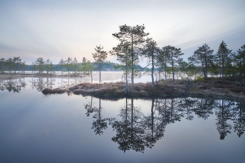 Утроphoto preview