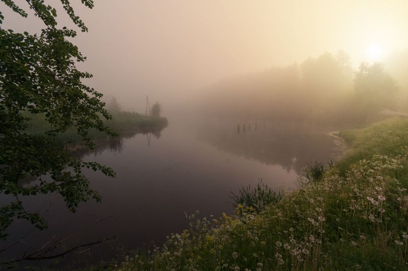 утро у рекиphoto preview