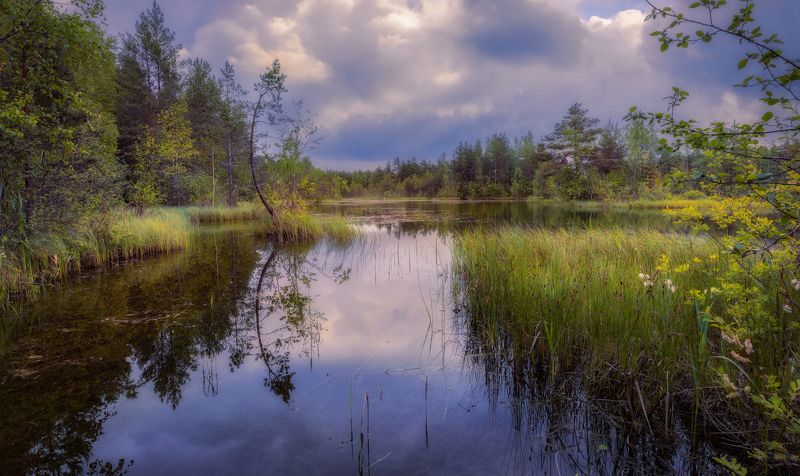 лето озеро небо вечер отражение закат ЕЕ спокойствием дыша...photo preview