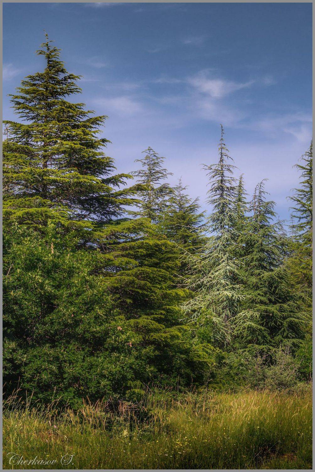 крым, лето,, Черкасов Сергей