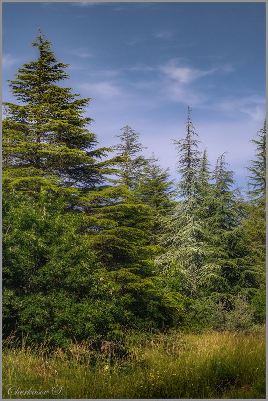 крым, лето, photo preview