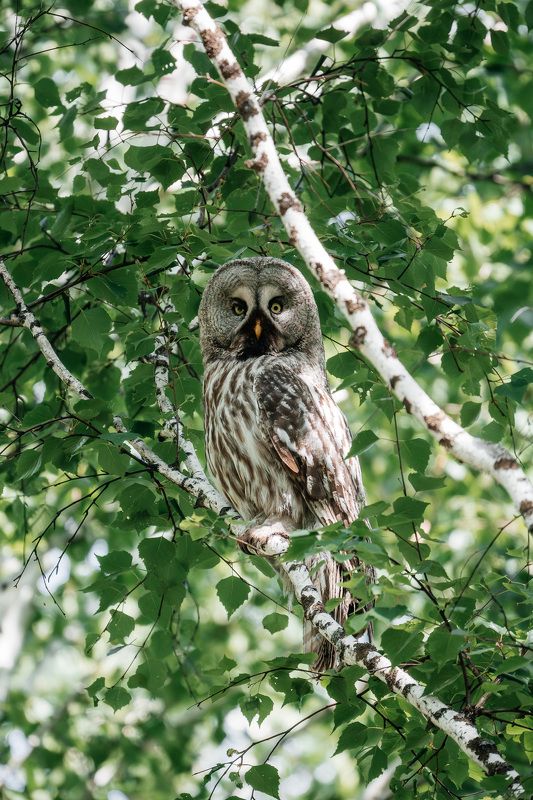 Ужин!photo preview