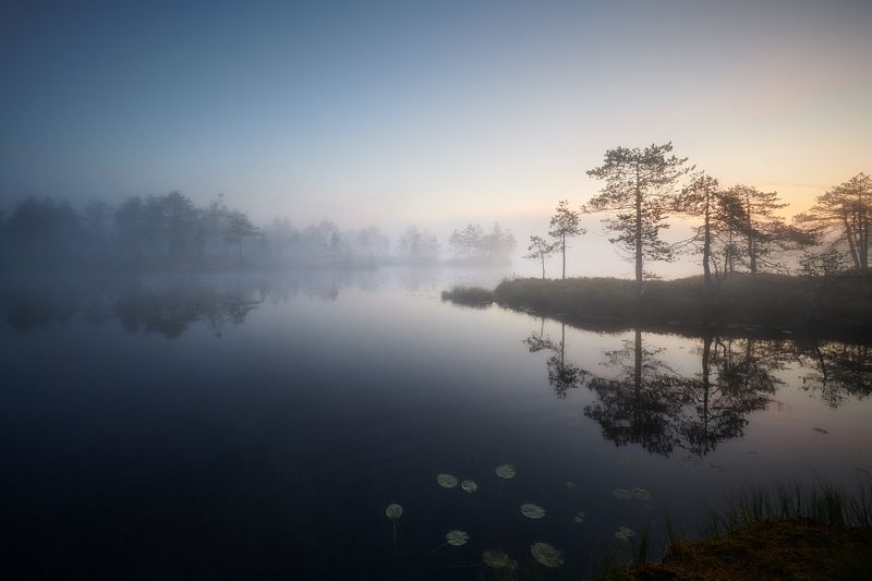 Начинается новый день...photo preview