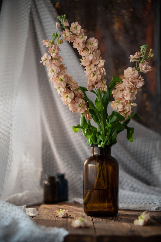 натюрморт цветы свет вечер Уютноеphoto preview