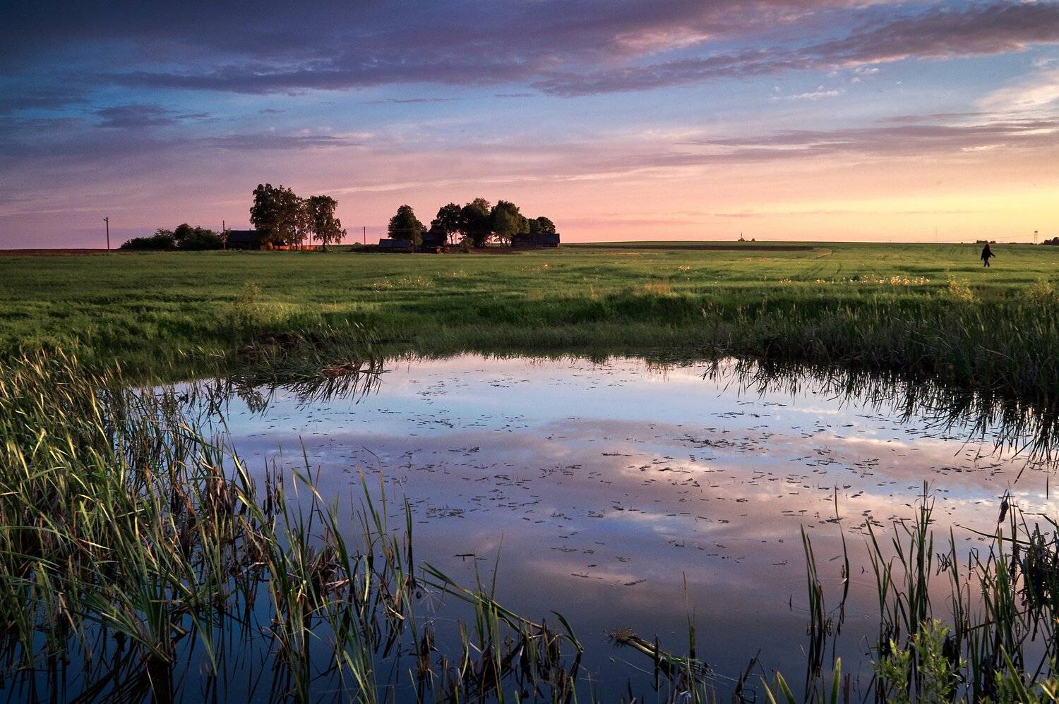 Предпоследний день весны.. Автор: Медведев Александр , Медведев Александр