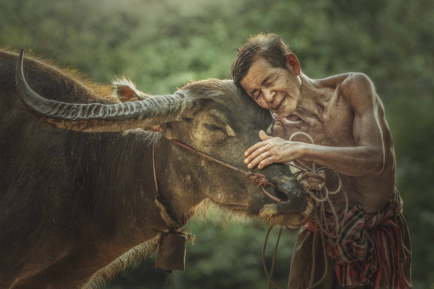 The bound of the master and faithful pet.. Автор: Jakkree Thampitakkull Rural Scene Agriculture Country Road Cultivated Land Farmer Friendship Horizontal Lifestyles Living Organism Love Male Friendship Occupation Outdoors Pets Photography Professional Occupation Thai Culture Thailand Tradition beautiful city clouds green rain, Jakkree Thampitakkull