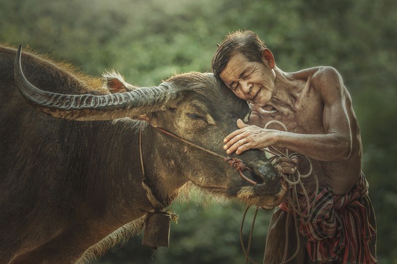 Rural Scene Agriculture Country Road Cultivated Land Farmer Friendship Horizontal Lifestyles Living Organism Love Male Friendship Occupation Outdoors Pets Photography Professional Occupation Thai Culture Thailand Tradition beautiful city clouds green rain The bound of the master and faithful pet.photo preview