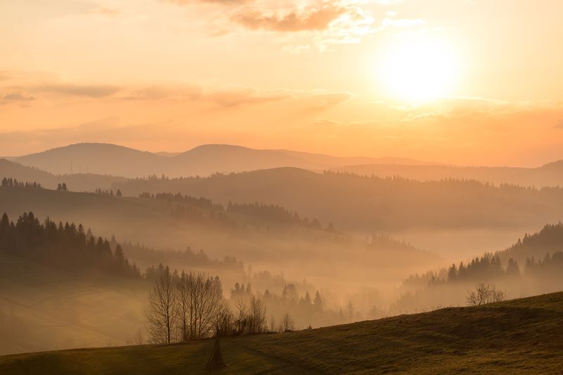 Весна в Карпатахphoto preview