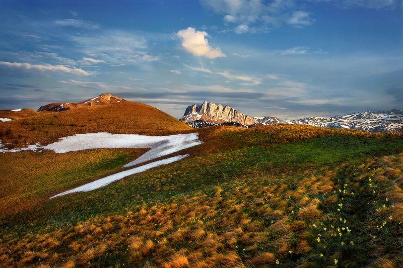 Манящая дальphoto preview