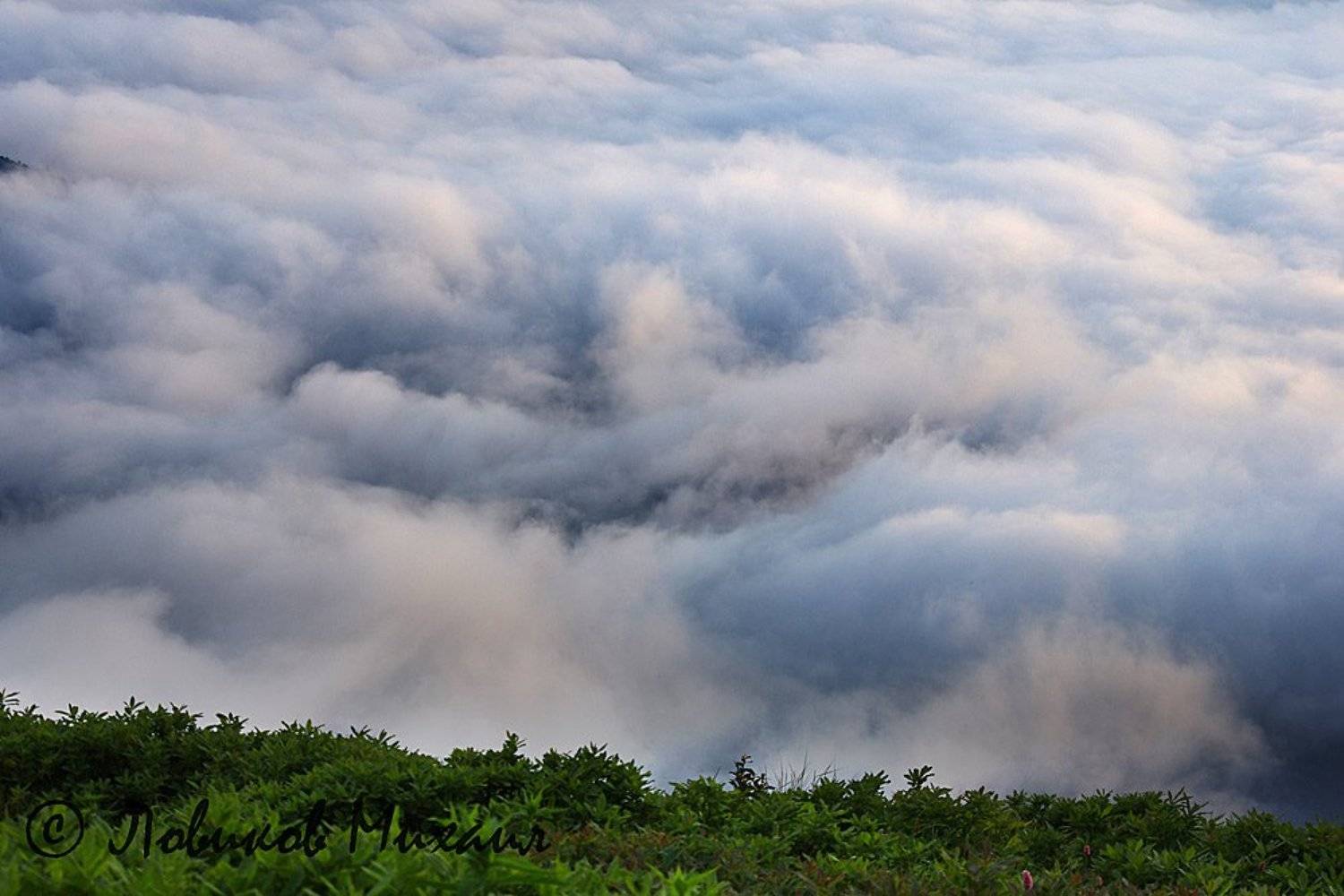 , Ловиков Михаил