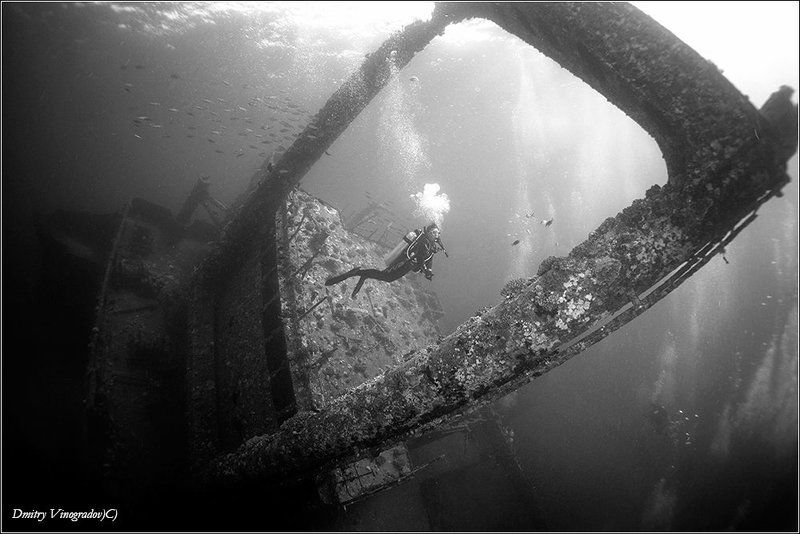 Giannis Dphoto preview